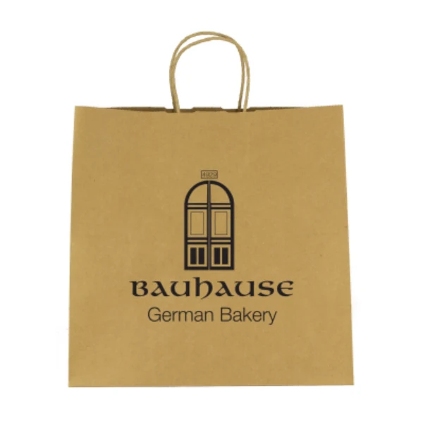 Kraft Paper Brown Shopping Bag - 10 x 10in