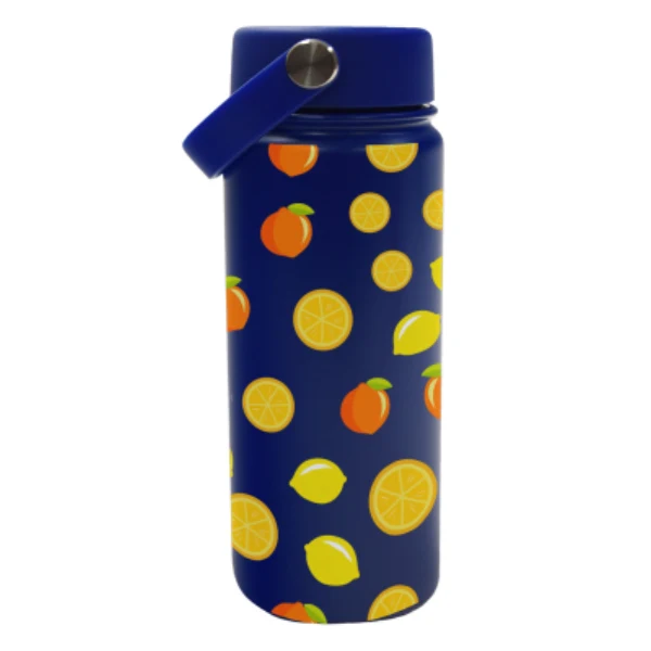 22 Oz. Full Color Hudson Stainless Steel Bottle