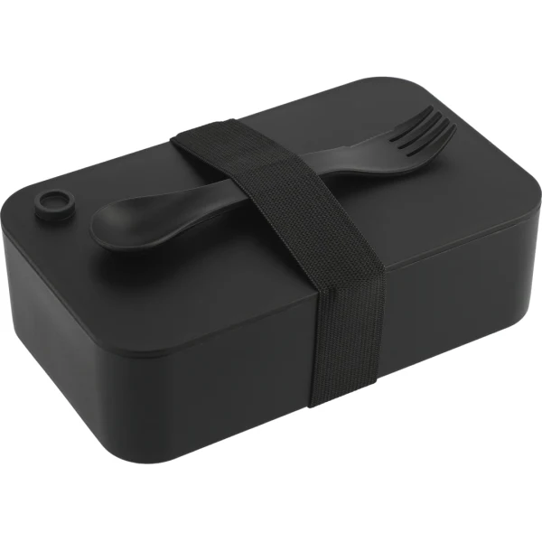 Recycled Plastic Bento Box