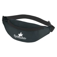 Budget Fanny Pack found in Bags