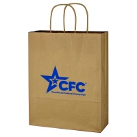 Kraft Paper Brown Shopping Bag - 10 x 13in found in Bags