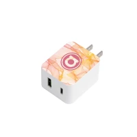 UL Listed 20W USB & Type-C Wall Adapter found in Technology