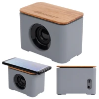 Rolling Stone Speaker & Wireless Charger found in Technology