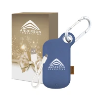 Pebble Carabiner Power Bank With Custom Box found in Technology