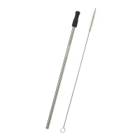 Stainless Steel Straw with Cleaning Brush found in Drinkware