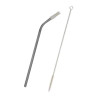 Bent Stainless Steel Straw found in Drinkware