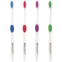 Winter Accent Toothbrush found in Health & Beauty