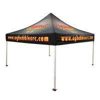 10' x 10' Pop-Up Tent found in Sport & Leisure