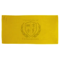35" X 60" Velour Beach Towel found in Sport & Leisure