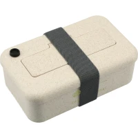 Bamboo Fiber Lunch Box with Utensils found in Home & Garden