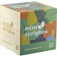 Sprigbox Mint Grow Kit found in Home & Garden
