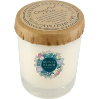 Ocean Mist and Moss 11 oz Glass Jar Candle found in Home & Garden