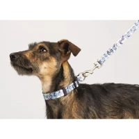 Full Color 3/4" Wide Premium Pet Leash found in Home & Garden