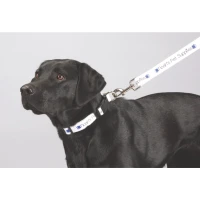 Full Color 1" Wide Premium Pet Leash found in Home & Garden